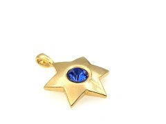 Altın Kaplama Taşlı Yıldız Sallantı Lacivert