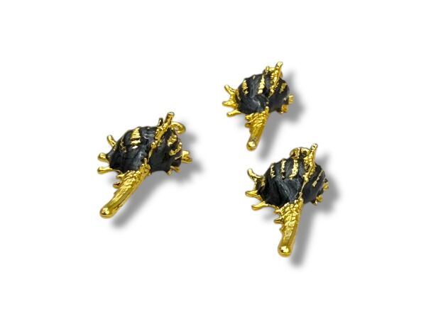 Mineli Deniz Kabuğu Sallantı